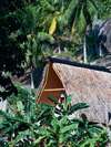 Felicite Private Island Exclusive 